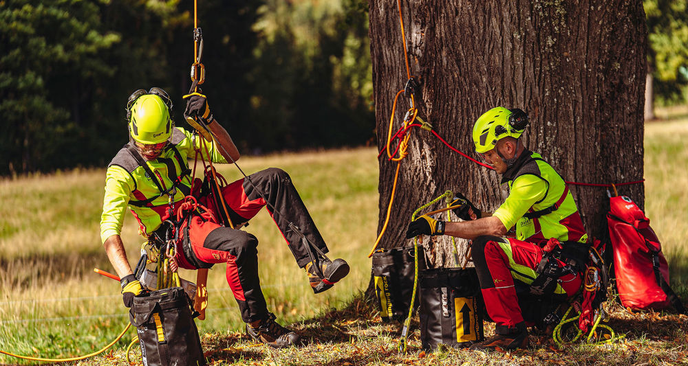 Tree Climbing repeating