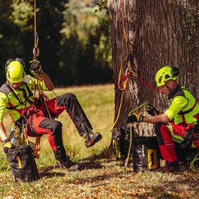 Tree Climbing repeating