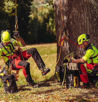 Tree Climbing repeating