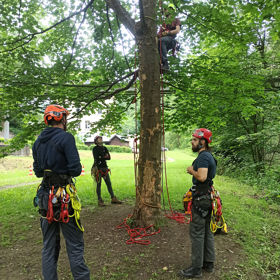 Tree Climbing repeating