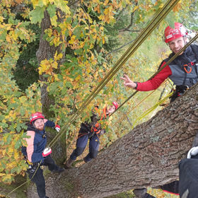 Tree Climbing repeating