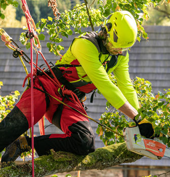 Arboriculture