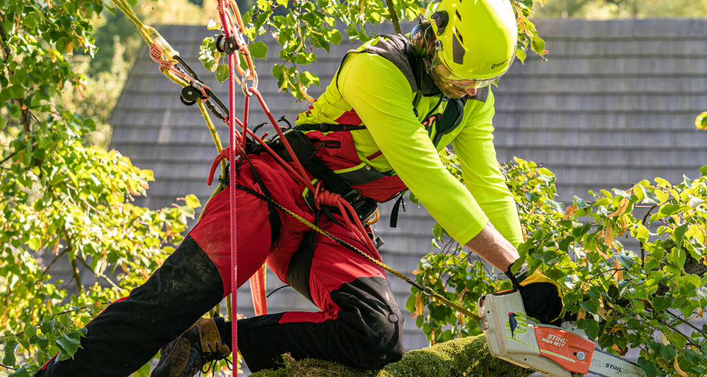 Arboriculture