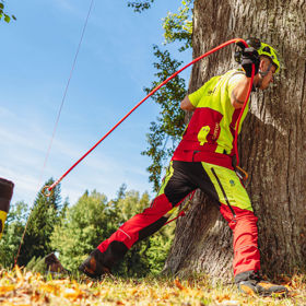 Arboriculture