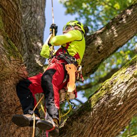 Arboriculture