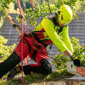 Arboriculture