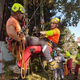 Evacuation and First Aid in Tree Climbing