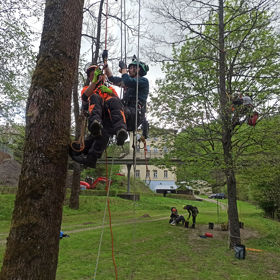 Evacuation and First Aid in Tree Climbing