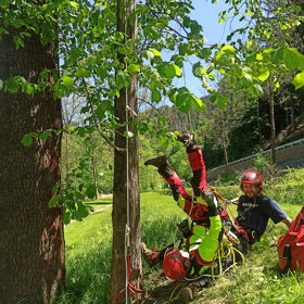 Evacuation and First Aid in Tree Climbing