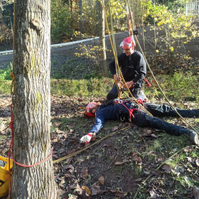 Evacuation and First Aid in Tree Climbing